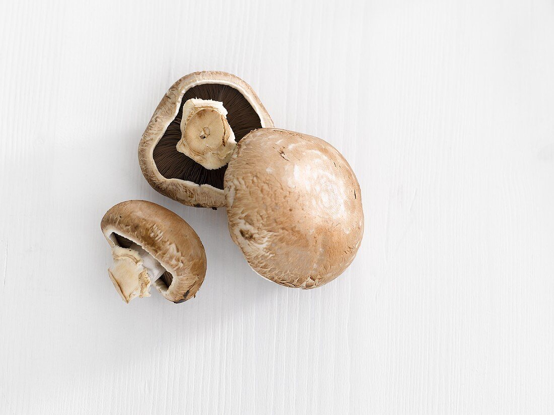 Three chestnut mushrooms on white background