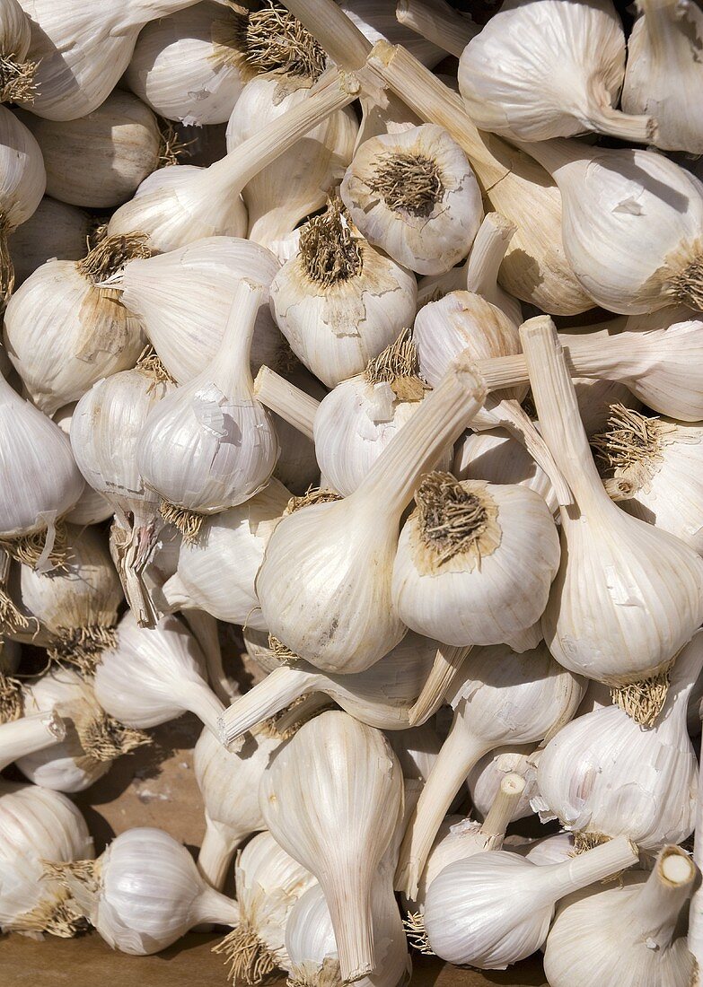 Many garlic bulbs (full-frame)