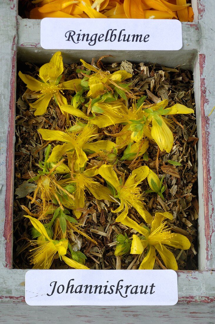 Dried St. John's wort (Hypericum perforatum)