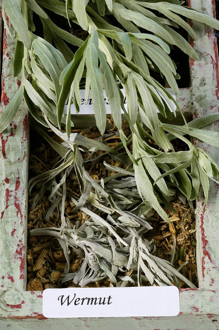 Wermut (Artemisia absinthium), getrocknet