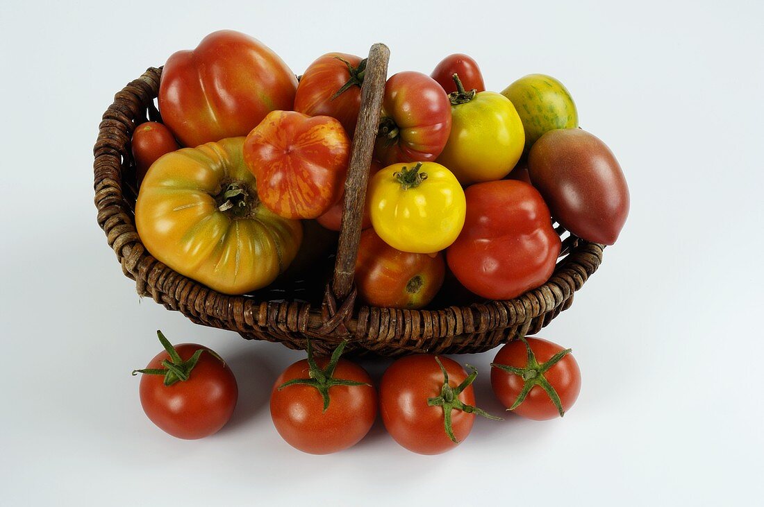 Various types of tomatoes in a basket