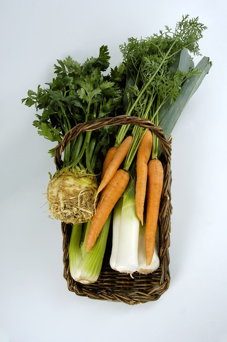 Basket of organic soup vegetables
