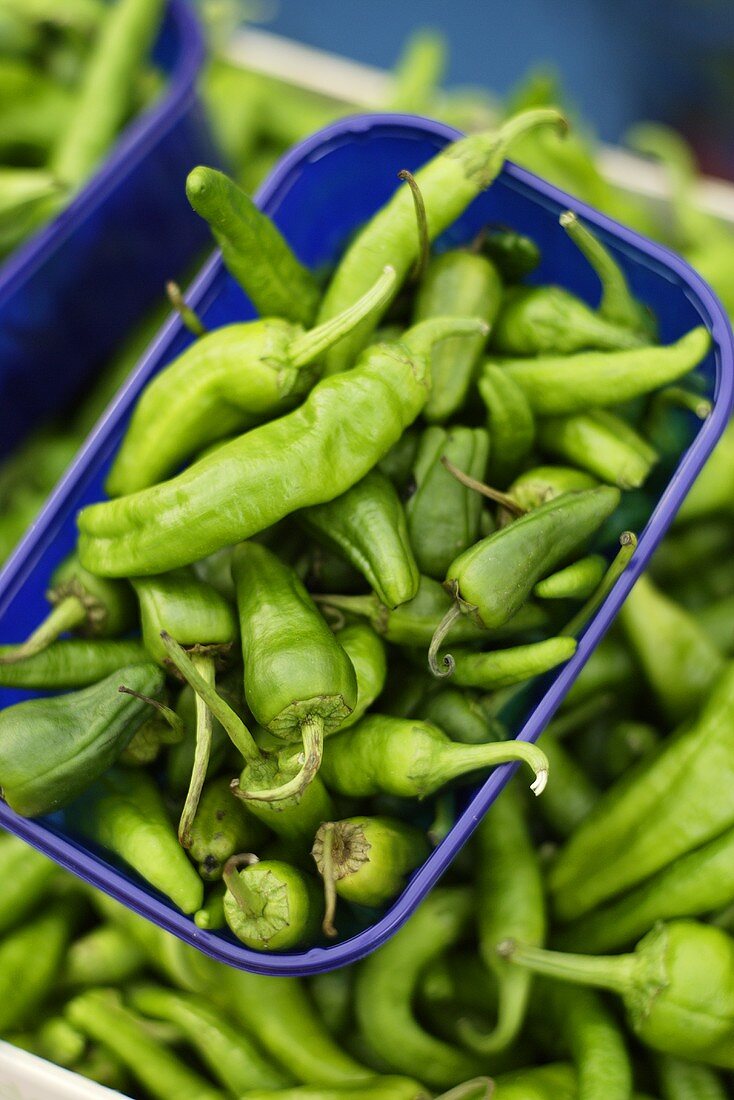 Pimientos de Padron (Spanish pepper variety) on a market stall