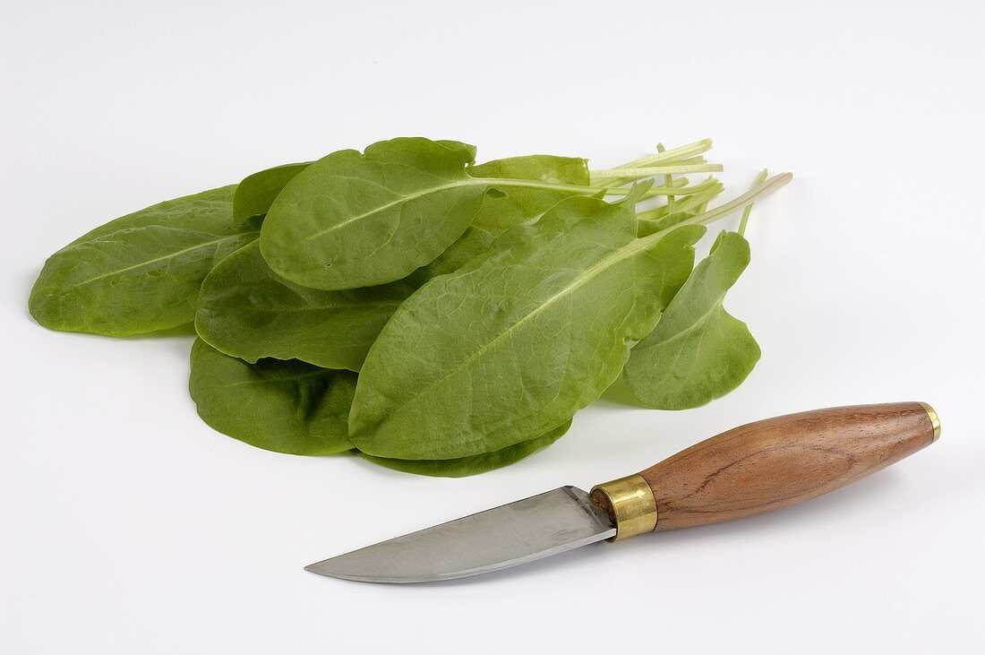 Sorrel leaves with knife