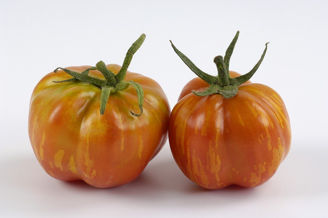 Two tomatoes (variety 'Lange grosse Kubanische')