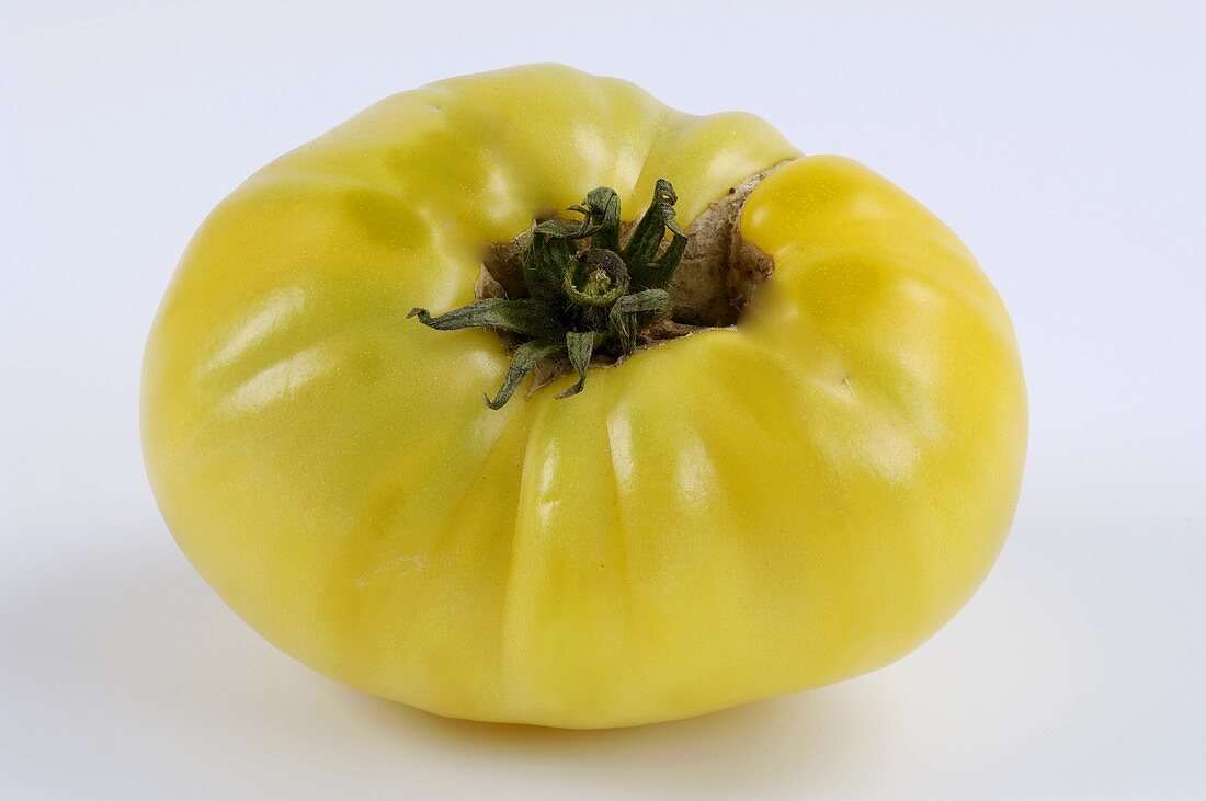 Eine Tomate (Sorte: Giant White Beefsteak)