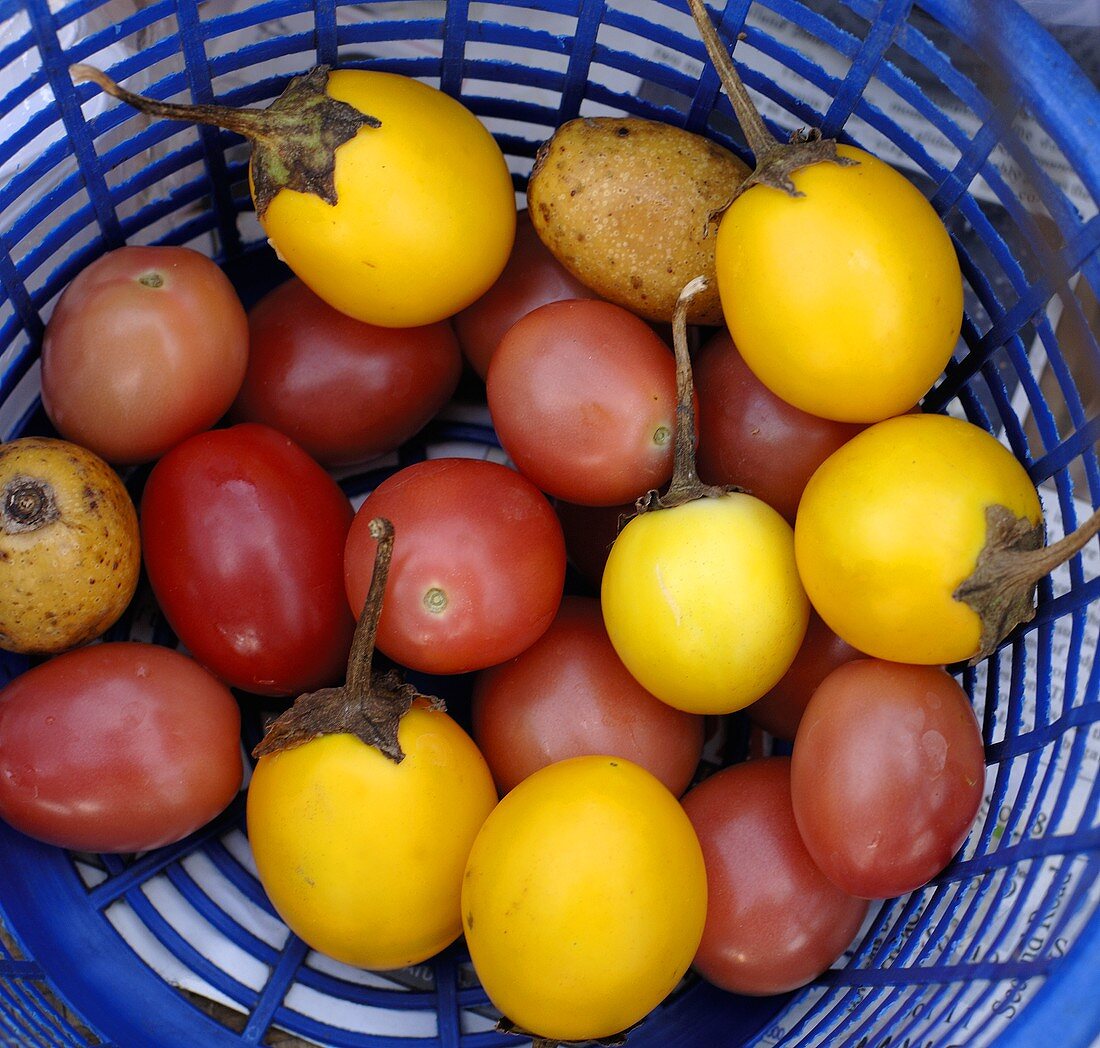 Gelbe Thaiauberginen und Tomaten im Korb