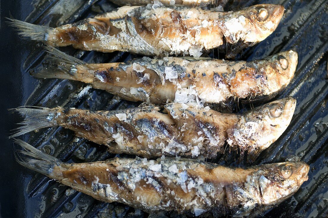 Grilled sardines