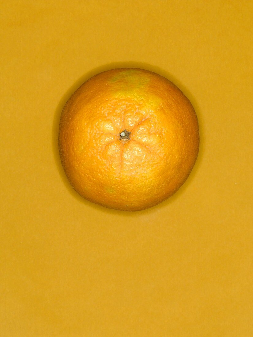 Eine Orange vor orangefarbenem Hintergrund