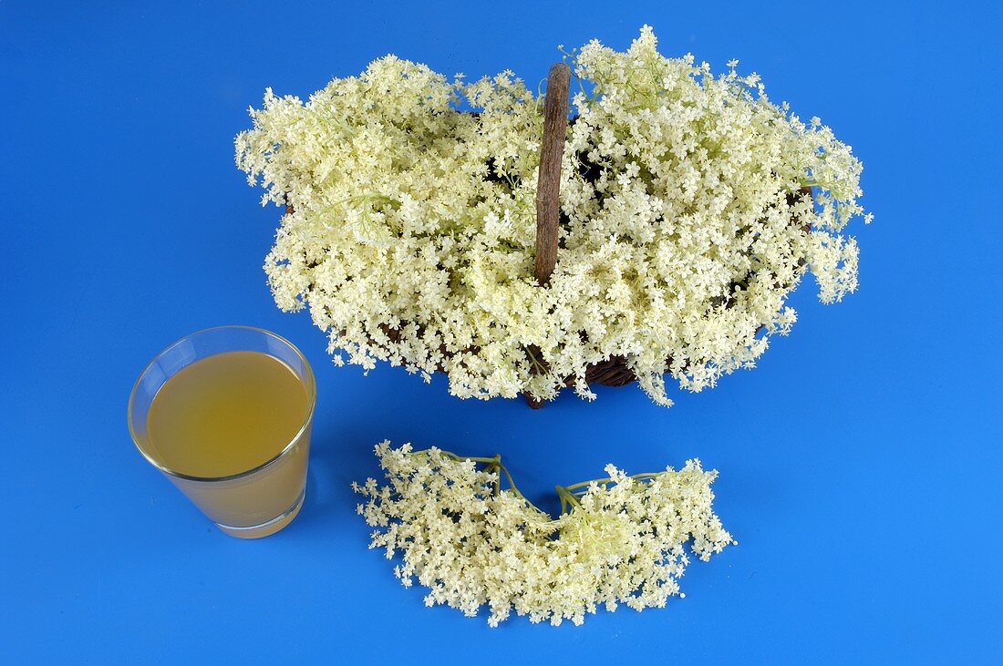 Elderflowers and a glass of elderflower syrup