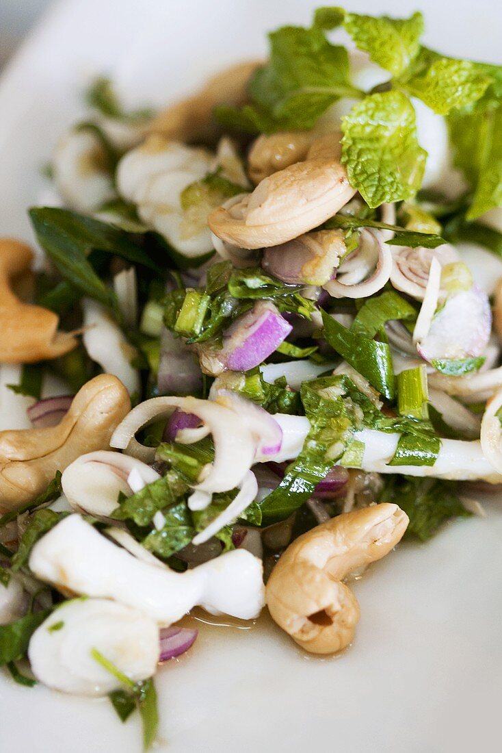 Squid salad with cashew nuts and mint leaves