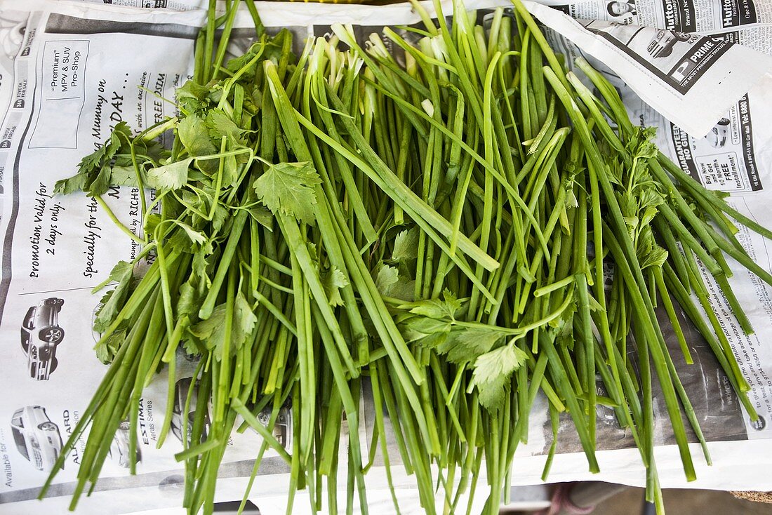 Coriander leaves and chives on newspaper