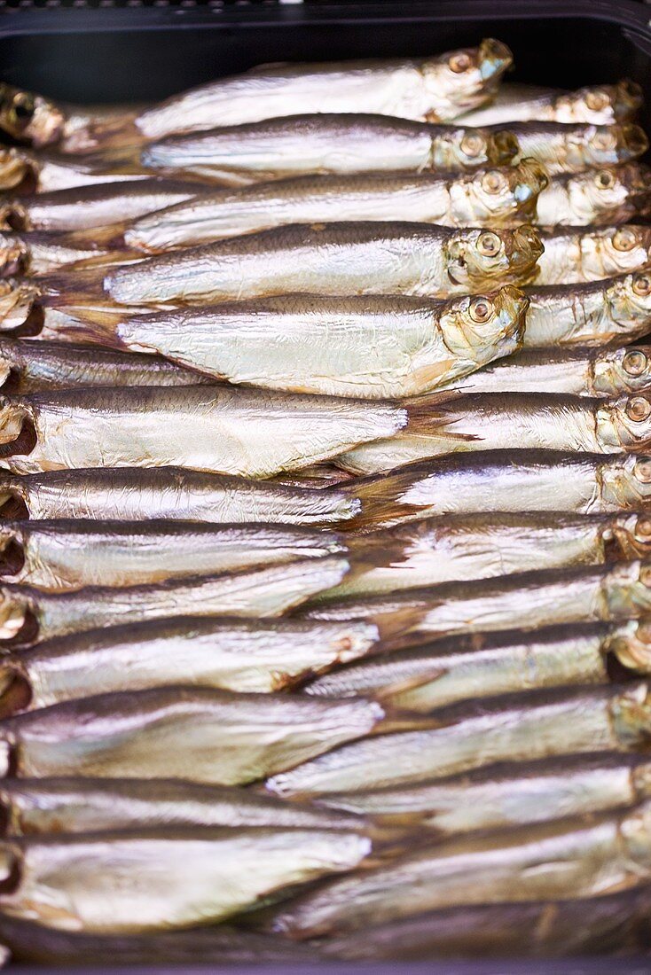 Dried herrings (Middelkerke, Belgium)