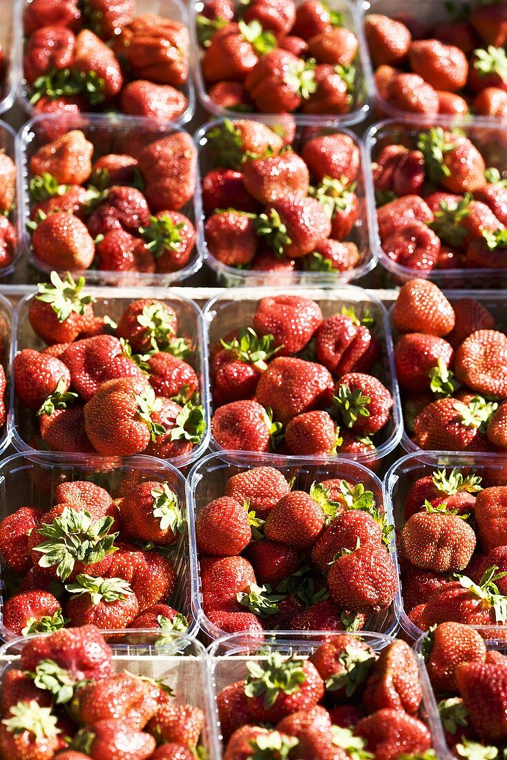 Fresh strawberries in plastic punnets on a market stall