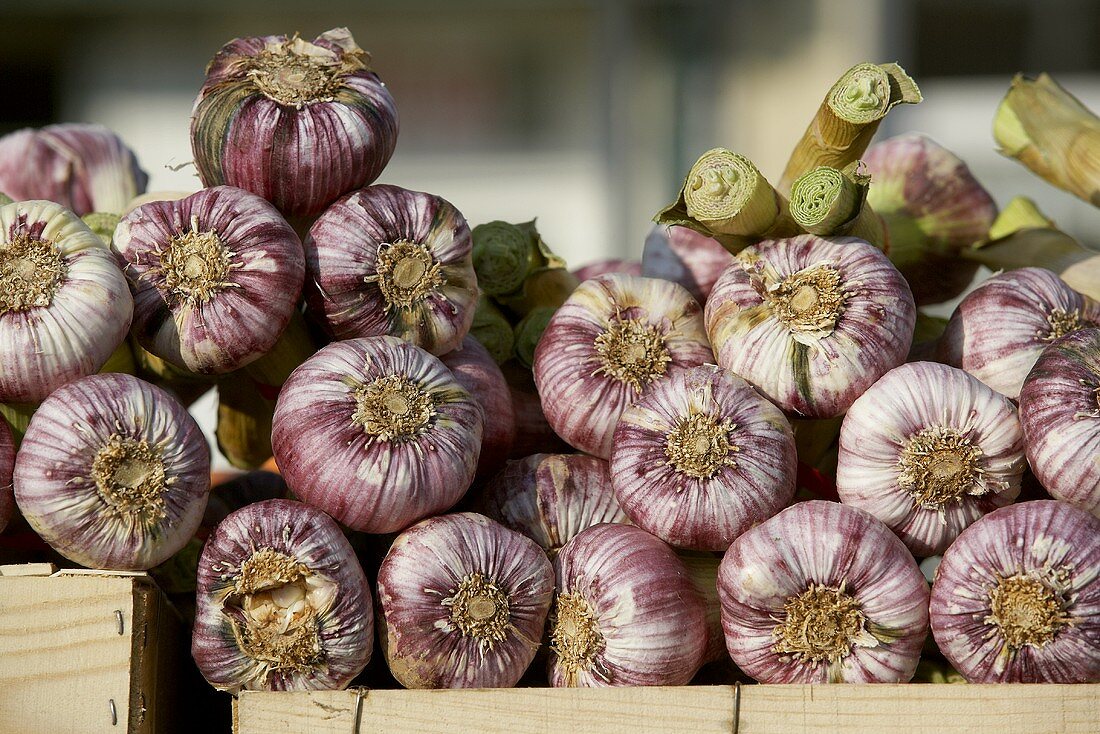 Frischer Knoblauch am Marktstand