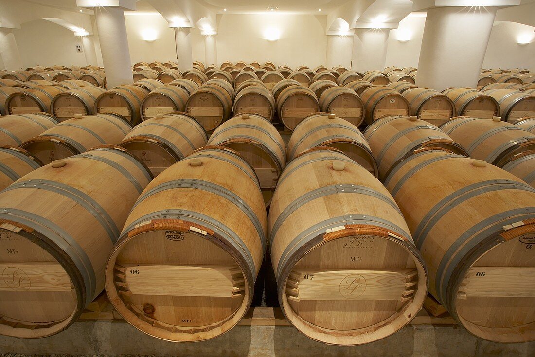 Wine cellar of Château la Lagune, Bordeaux