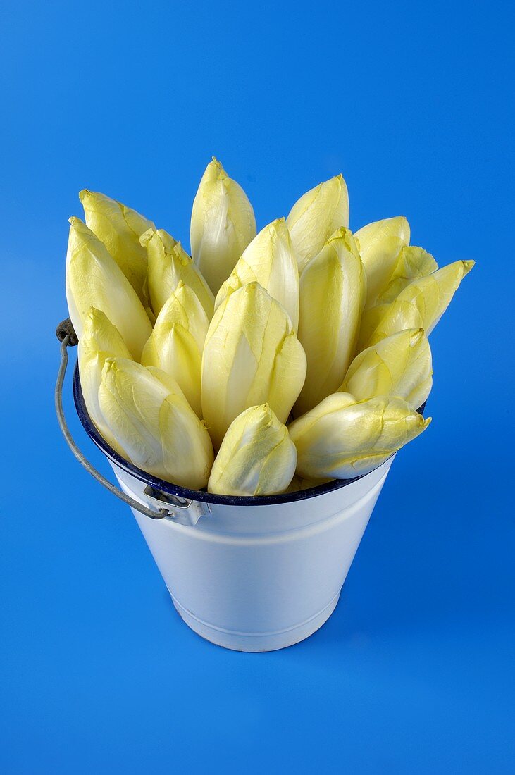 A metal bucket full of chicory