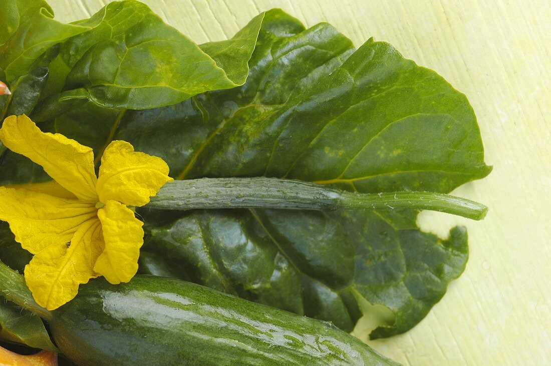 Cucumbers and cucumber flower