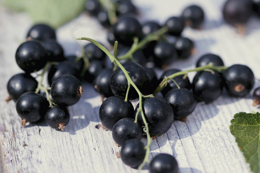 Schwarze Johannisbeeren