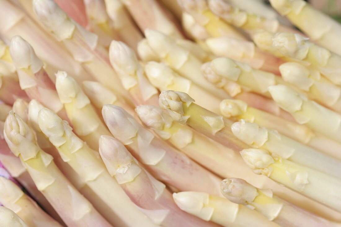 White asparagus (full-frame)