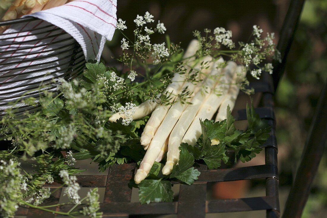 Weisser Spargel mit Blüten auf Gartenstuhl