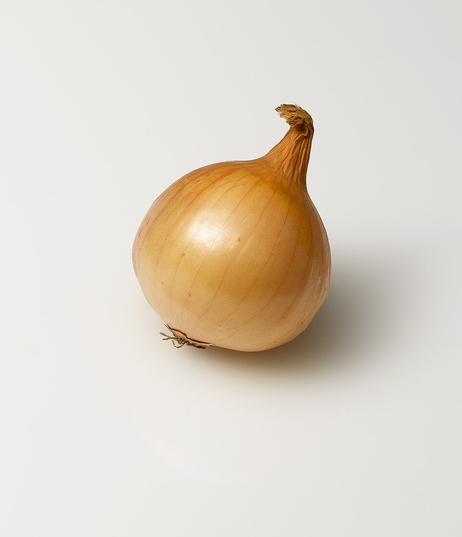 A brown onion