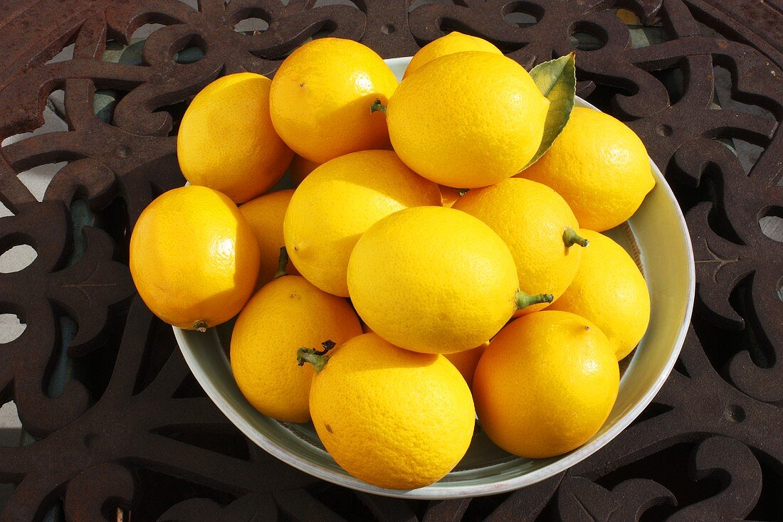 Bowl of Meyer Lemons on an Outdoor Table
