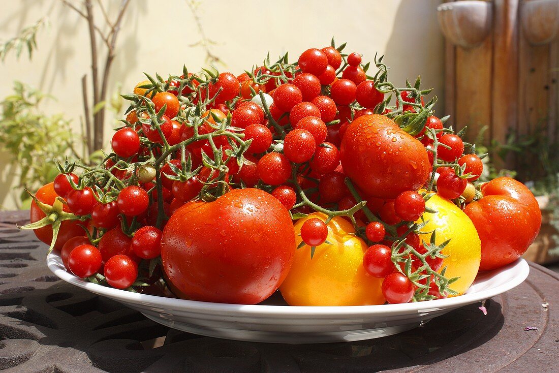 Large Platter of Various Tomatoes on Outdoor Table