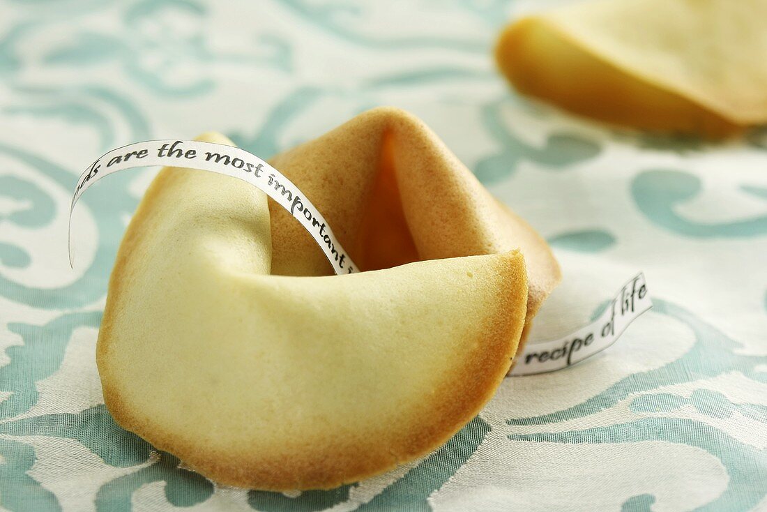 Fortune cookies with messages