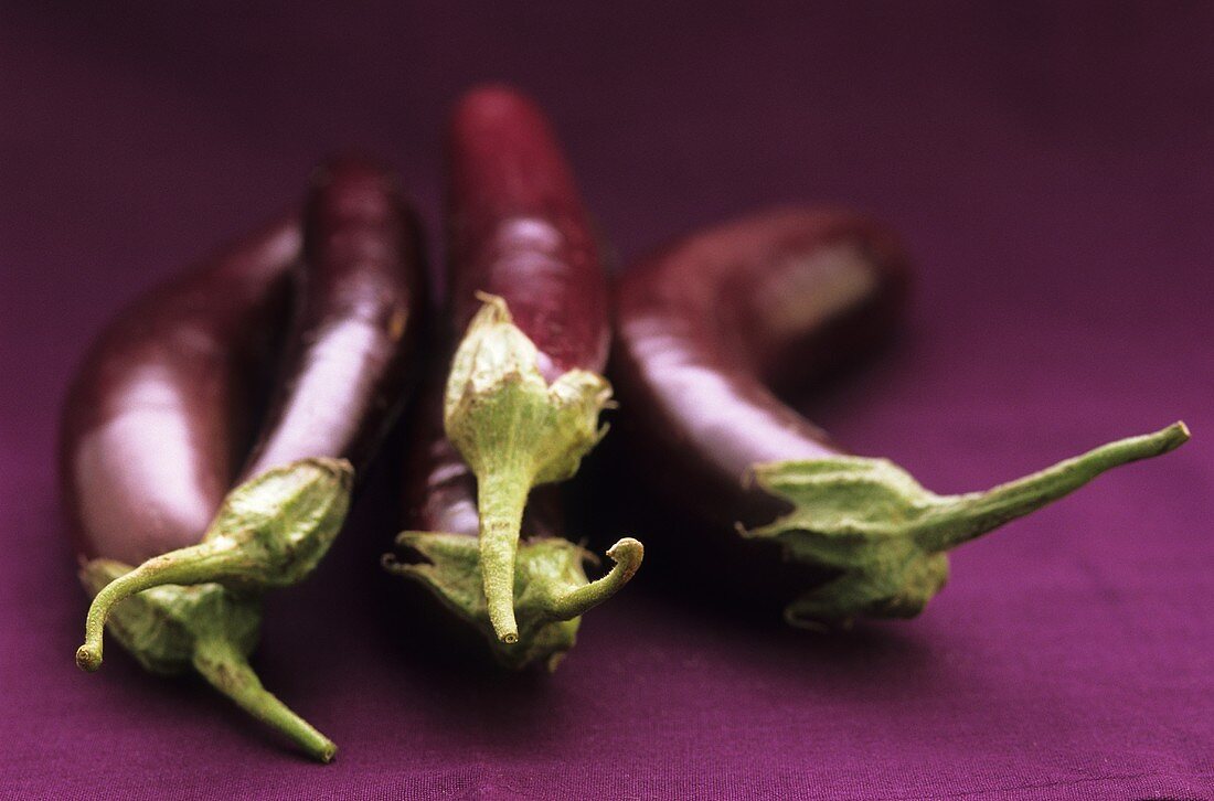 Purple aubergines