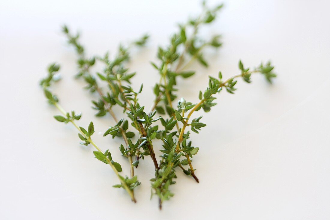 Thyme (close-up)