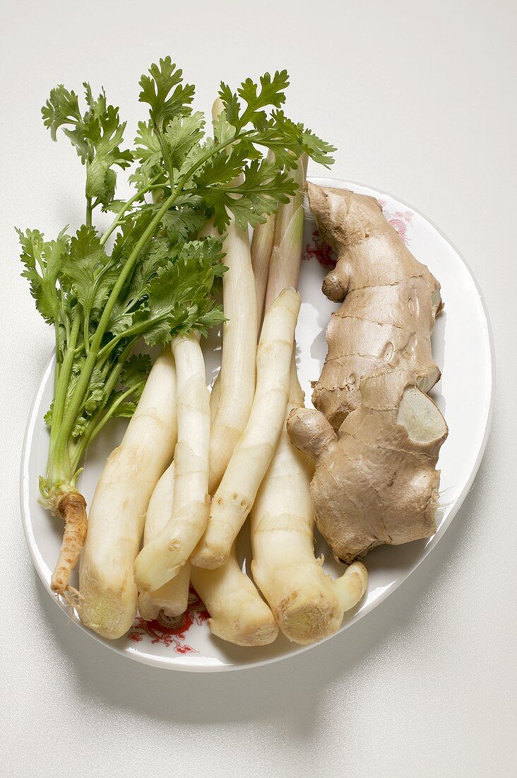 Ginger root, galangal and fresh coriander on platter