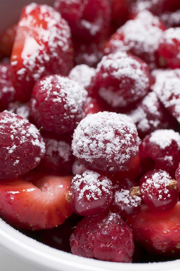 Raspberries and strawberries with icing sugar (close-up)