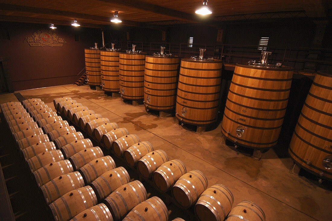 Wine in wooden barrels