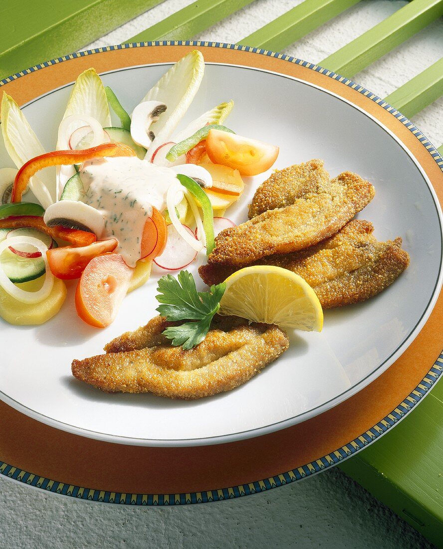 Turkey escalope with a mixed salad