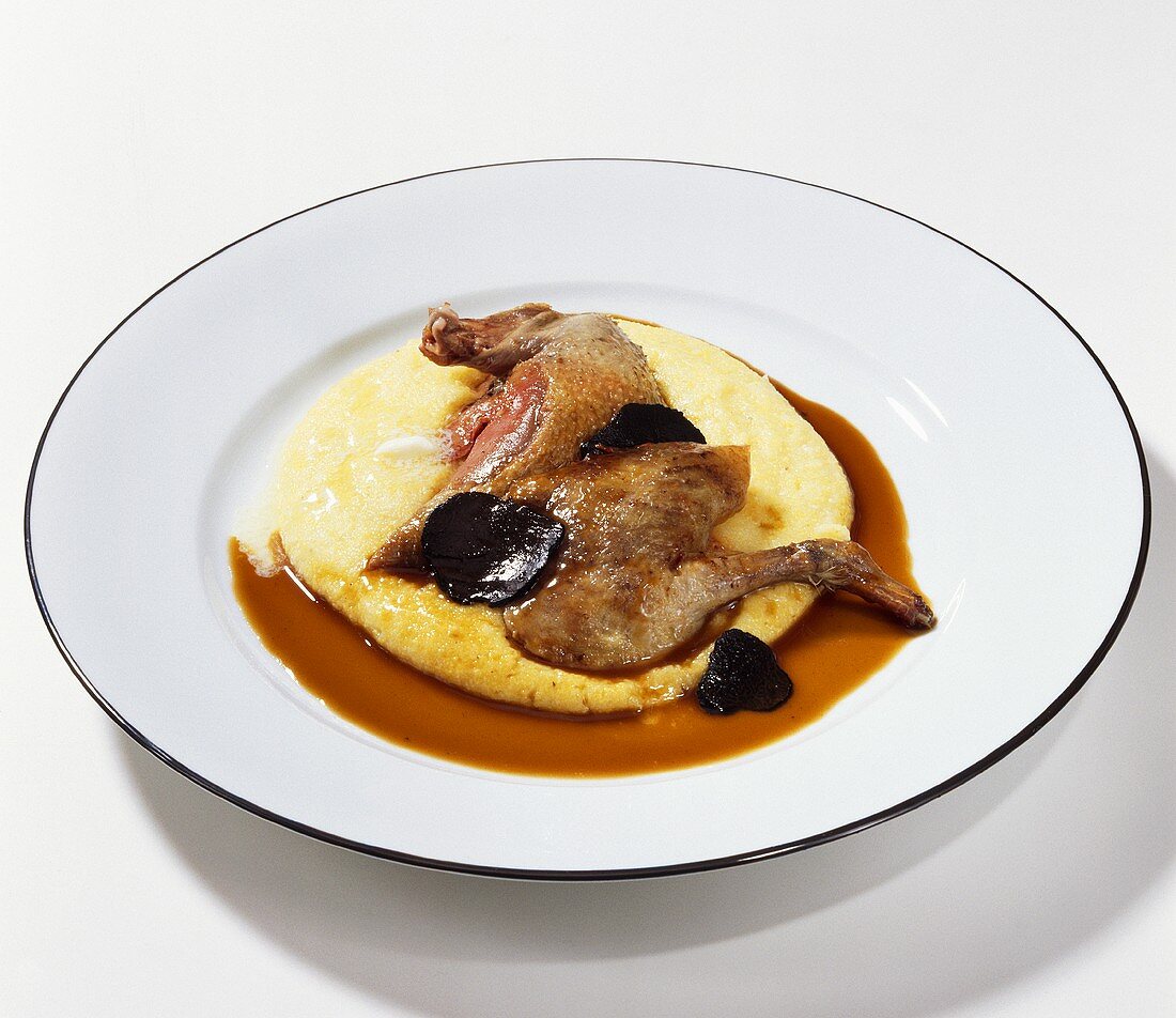 Pigeon with truffle sauce and mashed potatoes