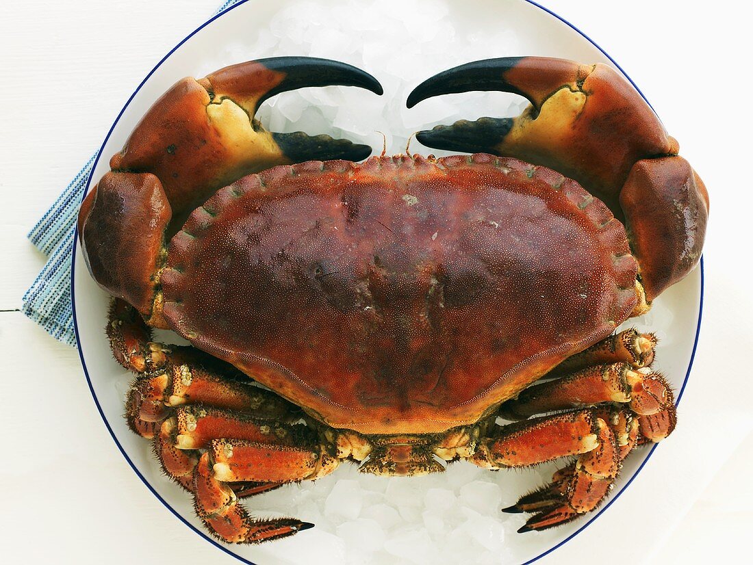 Crab on crushed ice