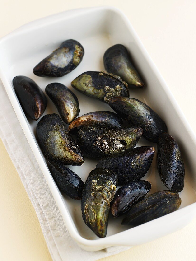 Fresh mussels in a dish