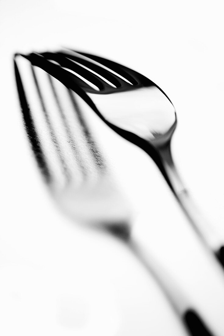 Fork with shadow