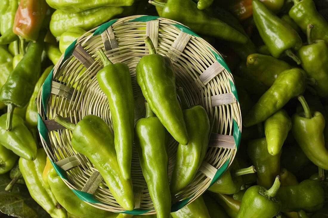 Anaheim Chilies in the Juarez Market; Oaxaca Mexico