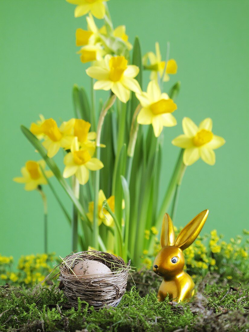Gold Easter Bunny in front of narcissi