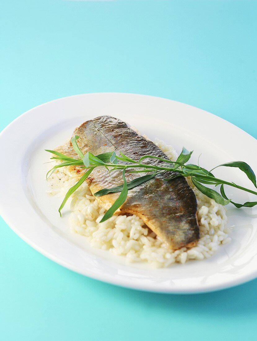 Fillet of brook charr on lemon grass risotto