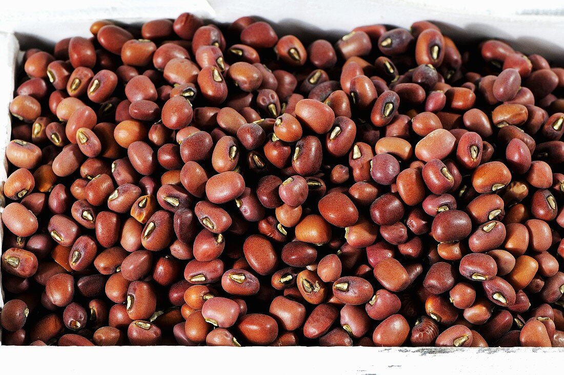 A box of azuki beans