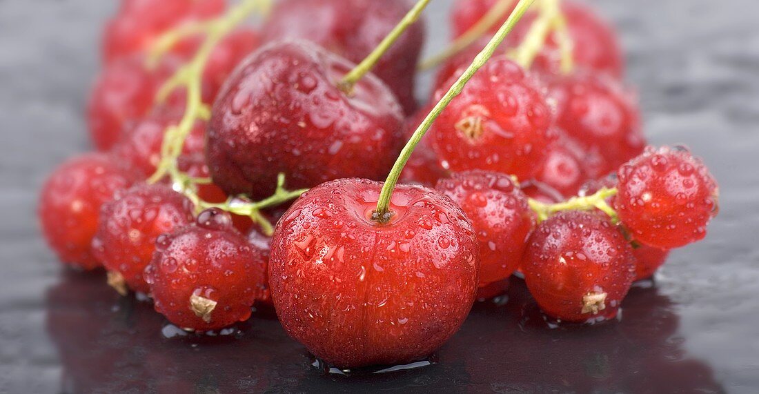 Kirschen und rote Johannisbeeren mit Wassertropfen