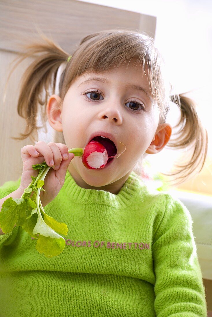 Little girl eating radish