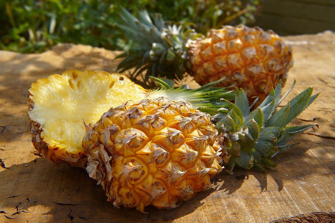 Zwei frische Ananas der aromatischen Sorte 'Ananas Victoria'
