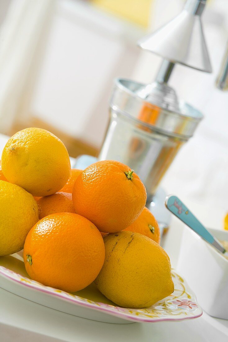 Fresh oranges and lemons, juicer in background