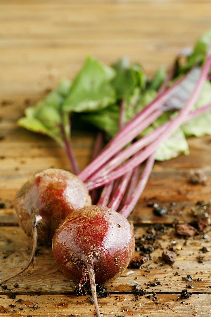 Freshly picked beetroot with soil