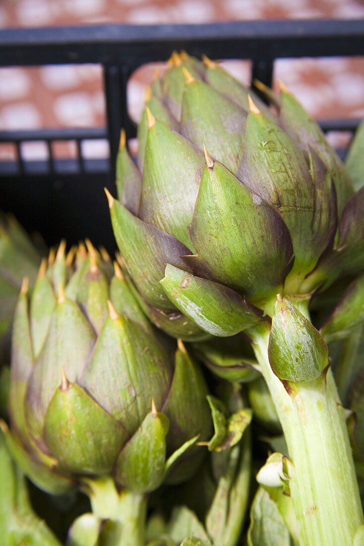 Artichokes in a crate