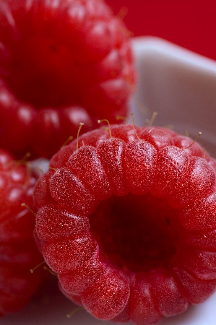 Three raspberries, close-up